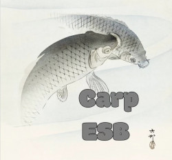 Carp Extra Special Bitter (ESB)