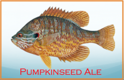 Pumpkinseed Pumpkin Spiced Ale 🥇