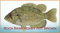 Rock Bass Honey Nut Brown Ale 🥈
