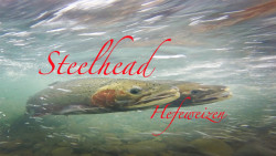 Steelhead Hefeweizen